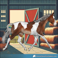 Horse Color:Silver Brown Splash Tobiano