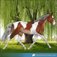 Horse Color:Silver Brown Splash Tobiano
