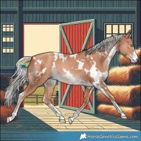 Horse Color:White Spotted Silver Sable Champagne 