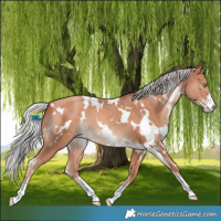 Horse Color:White Spotted Silver Sable Champagne