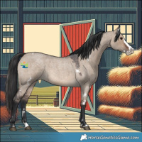 Horse Color:White Spotted Brown Roan Dun Splash 