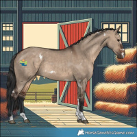 Horse Color:White Spotted Brown Dun Tobiano