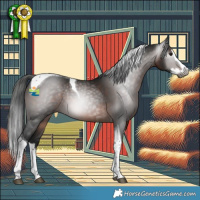 Horse Color:Gray Brown Splash Tobiano