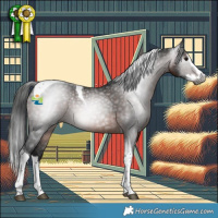 Horse Color:Gray Brown Splash Tobiano