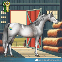 Horse Color:Gray Brown Splash Tobiano 