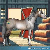 Horse Color:Gray Brown Dun Tobiano 