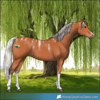 Horse Color:Powder White White Spotted Silver Bay 