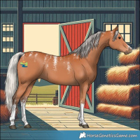 Horse Color:Powder White White Spotted Silver Bay 