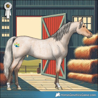 Horse Color:Silver Bay Roan Dun 