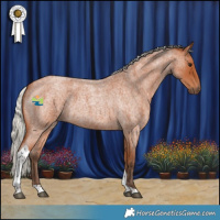 Horse Color:Silver Bay Roan Tobiano 