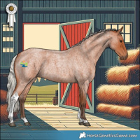Horse Color:Silver Bay Roan Tobiano 
