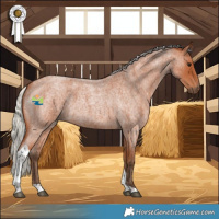 Horse Color:Silver Bay Roan Tobiano 