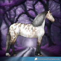 Horse Color:Gray Bay Dun Near Leopard 