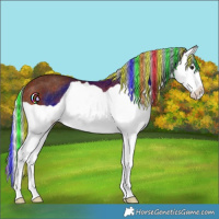 Horse Color:Painted Silver Bay Splash Rabicano