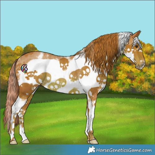 Horse Color:Watercolor Chestnut Sabino Frame Rabicano
