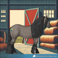 Horse Color:Grullo