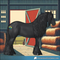 Horse Color:Black 