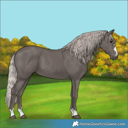 Horse Color:Silver Black 