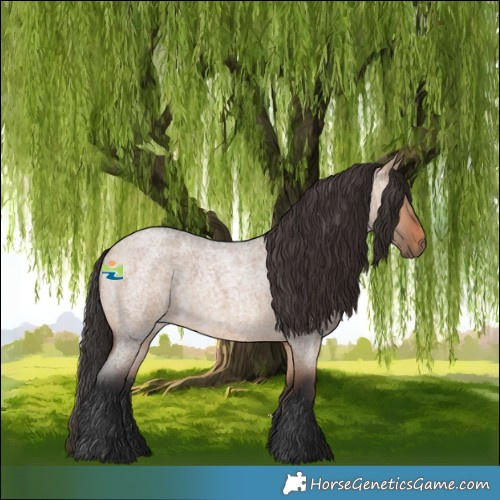 Horse Color:Bay Roan Dun 