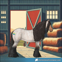 Horse Color:Bay Roan Dun 