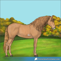 Horse Color:Chestnut Frame 