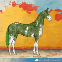 Horse Color:Watercolor Grullo Ice Sabino Varnish 