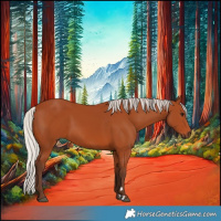 Horse Color:Silver Bay 