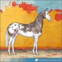 Horse Color:Watercolor Silver Bay Ice Dun Sabino Splash Appaloosa 