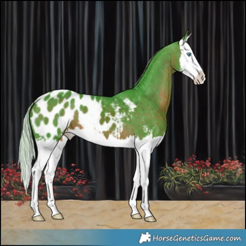 Horse Color:Watercolor Silver Brown Sabino Splash Blanket 
