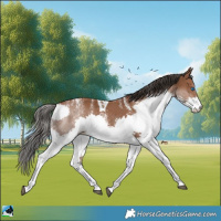 Horse Color:Powder White Bay Splash Tobiano