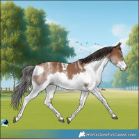 Horse Color:Powder White Bay Splash Tobiano 