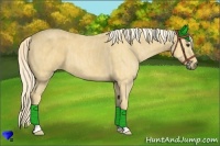 Horse Color:Palomino Brindle