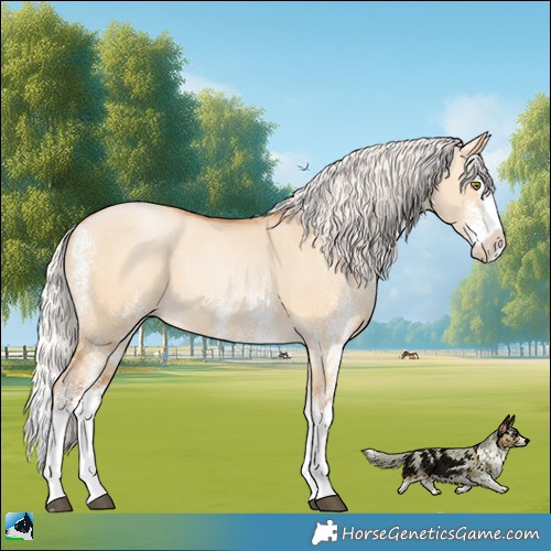 Horse Color:White Spotted Silver Bay Pearl Dun Splash 