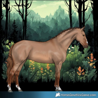 Horse Color:Red Dun 