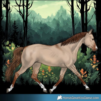 Horse Color:Red Dun 