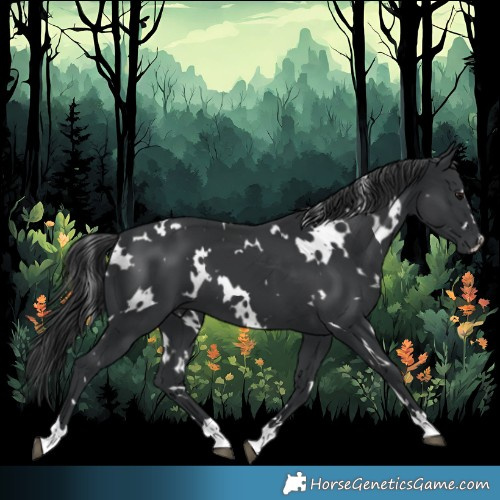 Horse Color:White Spotted Black 