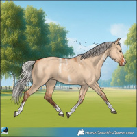 Horse Color:Powder White Silver Bay Dun Sabino 