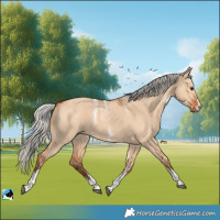 Horse Color:Powder White Silver Bay Dun Sabino
