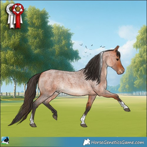 Horse Color:Bay Roan Tobiano Rabicano 
