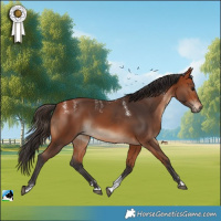 Horse Color:Powder White Bay Rabicano