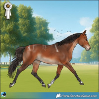 Horse Color:Powder White Bay Rabicano 
