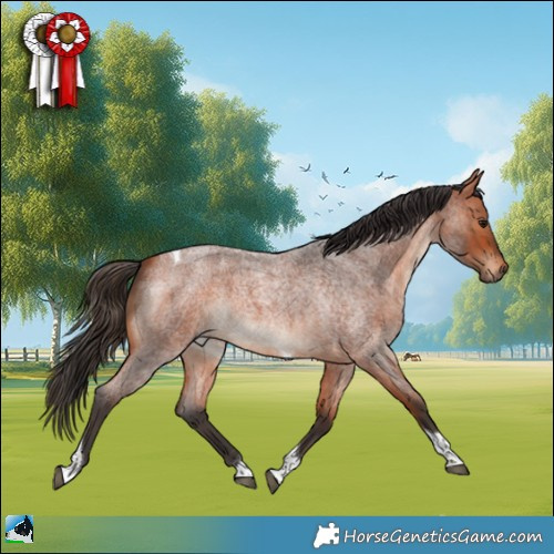 Horse Color:Bay Roan Tobiano Rabicano 