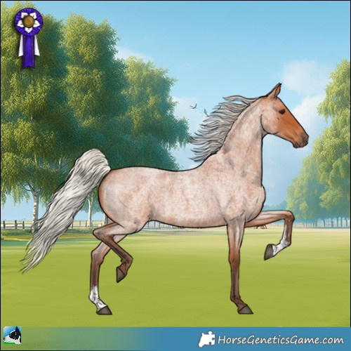 Horse Color:Silver Bay Roan Sabino 