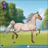 Horse Color:Silver Bay Roan Sabino