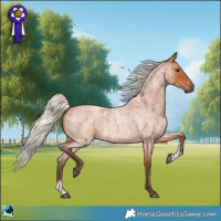 Horse Color:Silver Bay Roan Sabino
