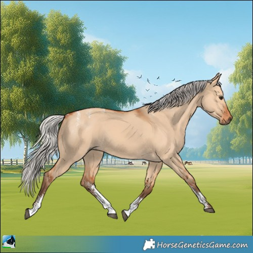 Horse Color:Powder White Silver Bay Dun Sabino 