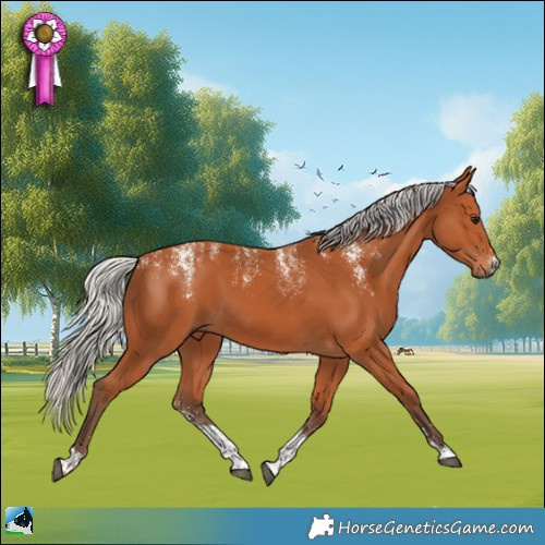 Horse Color:Powder White Silver Bay 