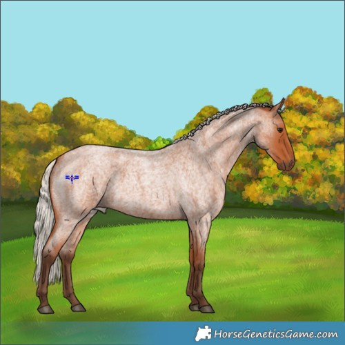 Horse Color:Silver Bay Roan 