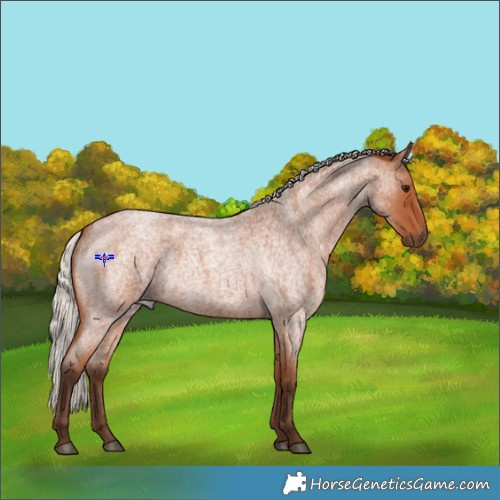 Horse Color:Silver Bay Roan