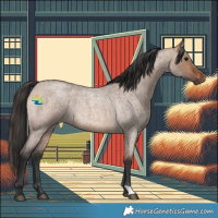 Horse Color:Brown Roan Dun 
